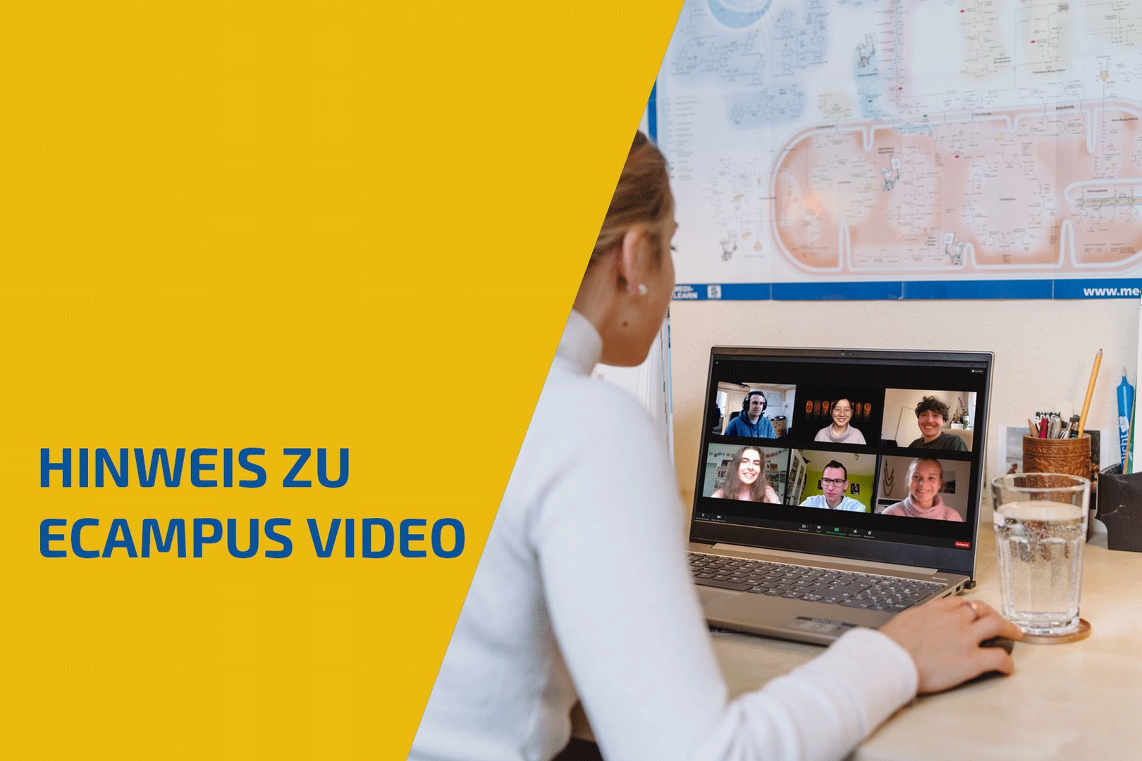 Hinweis zu eCampus Video